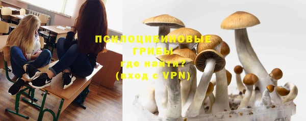гидра Тихорецк