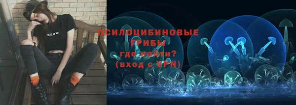 соль ск Михайловск