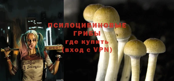 ПСИЛОЦИБИНОВЫЕ ГРИБЫ Навашино