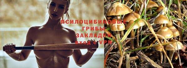 MESCALINE Тобольск