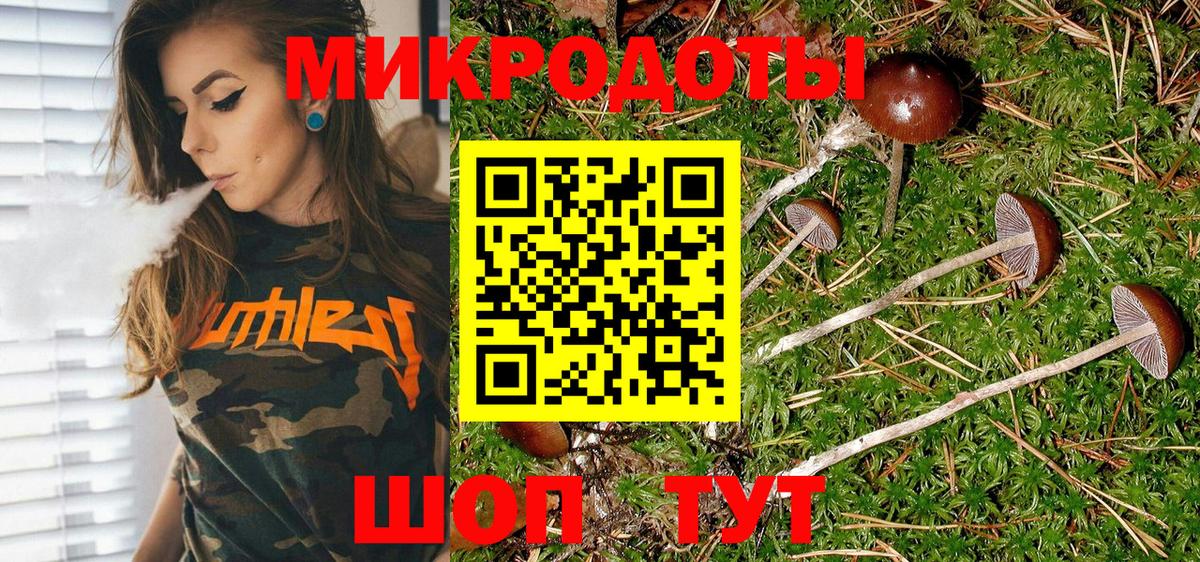 Галлюциногенные грибы Psilocybe  купить наркотики сайты  Вход с VPN  Канск  Галлюциногенные грибы прущие грибы 